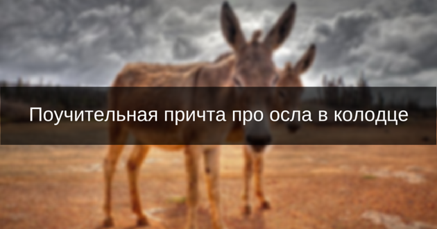 Поучительная причта про осла в колодце